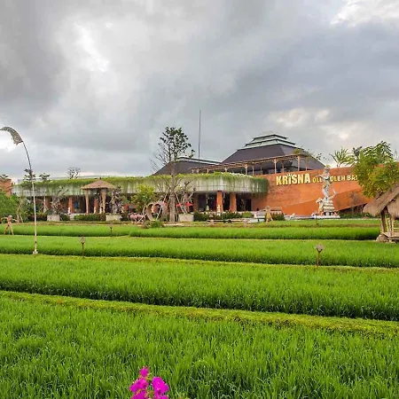 Ej House